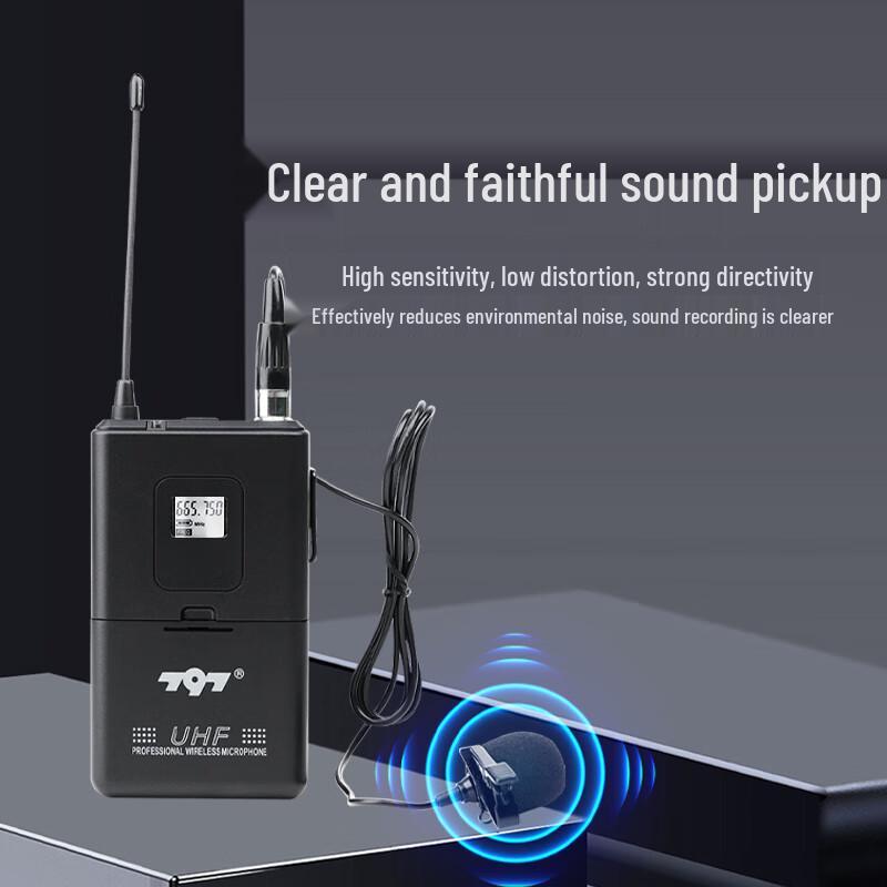 797audio DW612 Dual Wireless Microphone System (CN version)