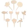 Unfinished Wooden Succulent Plant Tags and Landscape Signs