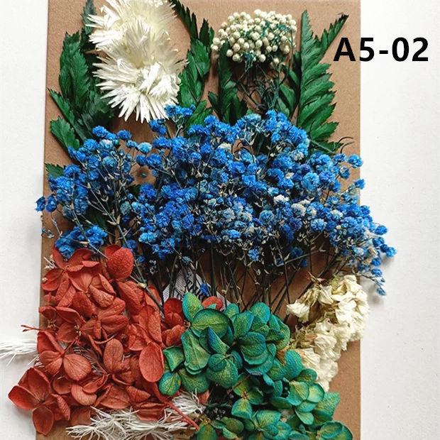 Exquisite Eternal Dry Flower Ancient Style Group Fan Material Pack for Children's Handmade Exclusive Decoration Dried Flowers