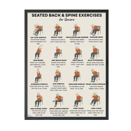 Chair Exercise Poster Seated Workout Chart Gentle Chair Yoga Movements Low Impact Exercise Guide for Seniors Beginners