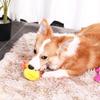 Pet Stuffed Toy Cartoon Rabbit Panda Duck Teeth Cleaning Toy Plush Animal Toy Dog Chew Toy for Puppy