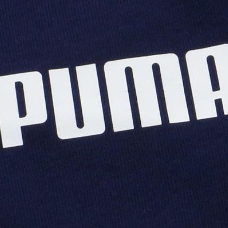 Puma Casual Shorts Men's Blue Moderate 855281-03
