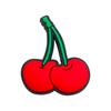 15-Piece Cute Fruit Shoe Charms Set for DIY Decorations