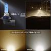 Lampadina Alogena RCP HB3 9005 100W 6000k Faro per Auto Originale