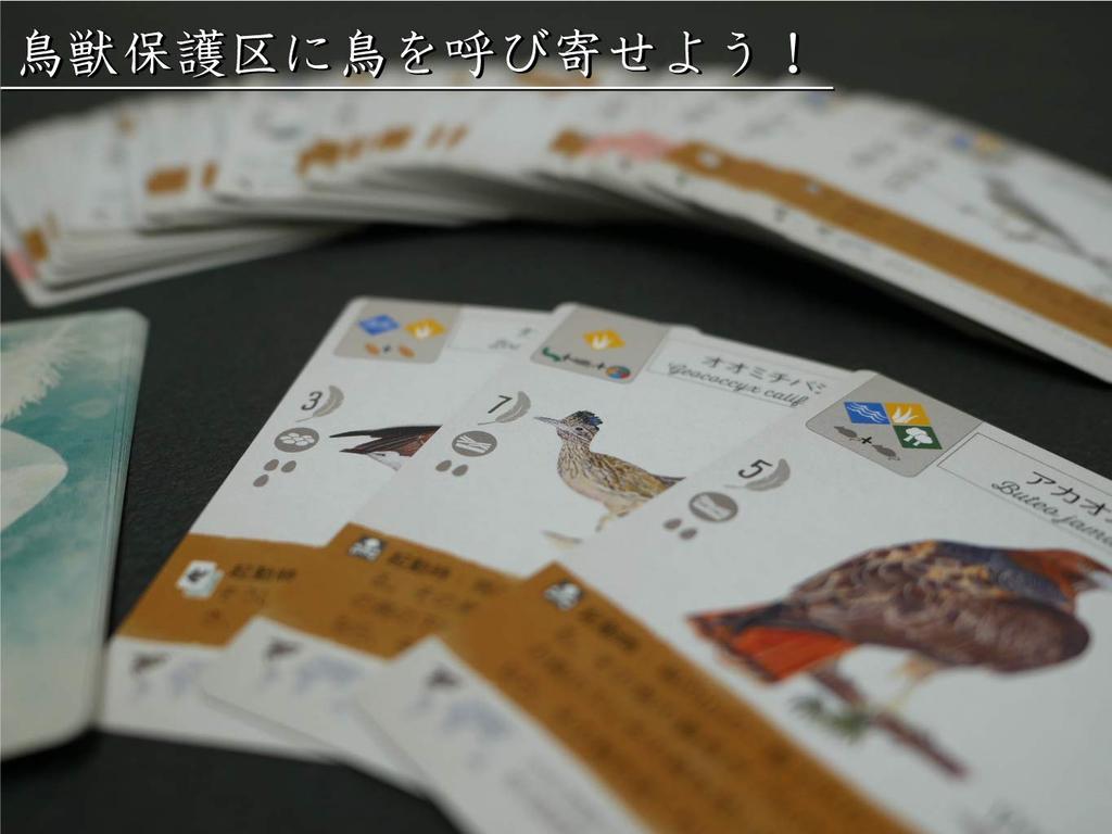 Arclight Wingspan Full Japanese Edition Ages 10 and Board Game (1-5 Players, 40-70 Minutes, Up)