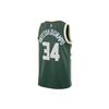 Nike X Nba Milwaukee Bucks Giannis Antetokounmpo Icon Edition Swingman Jersey DN2012-323
