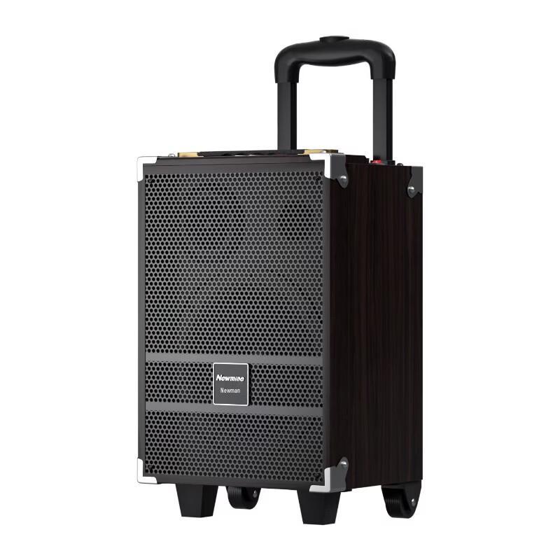 Newsmy N557 Portable Outdoor Karaoke Trolley Speaker (CN Version)