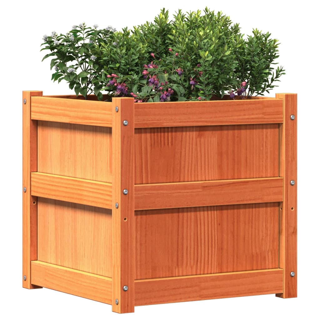 Planters 2 pcs Wax Brown Solid Pine Wood