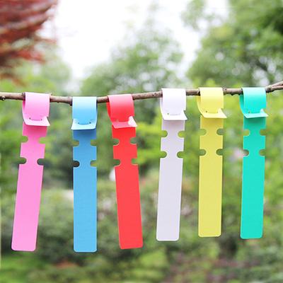 100PC plastové rostlinky dlouhé typové štítky Značky na zahradní podnosy na zahradní štítky