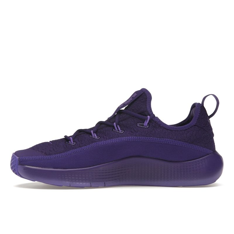 Nike LeBron TR 1 Purple Rain Unisex Sneakers Court-Purple Action-Grape FJ6151-500