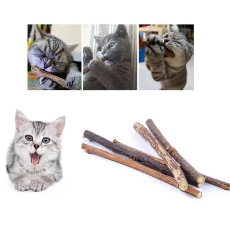 Zahnmolar Kauspielzeug für Katze Kätzchen Kitty Geschenke Stöcke für Katzen Natürliche Katzenminze Kauspielzeug-Sticks