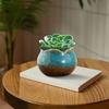Flower Pot Vibrant Color Smooth Edge Shatterproof Drain Hole Design Thickened Decorative Exquisite Succulent Flower Pot Balcony Gardening Gift Garden