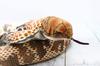 Take Off Snake Cobra Plush Toy [with Music Box]