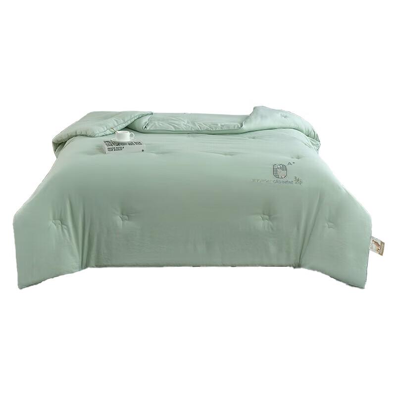 

Xuanyu Mugwort Warm Winter Comforter