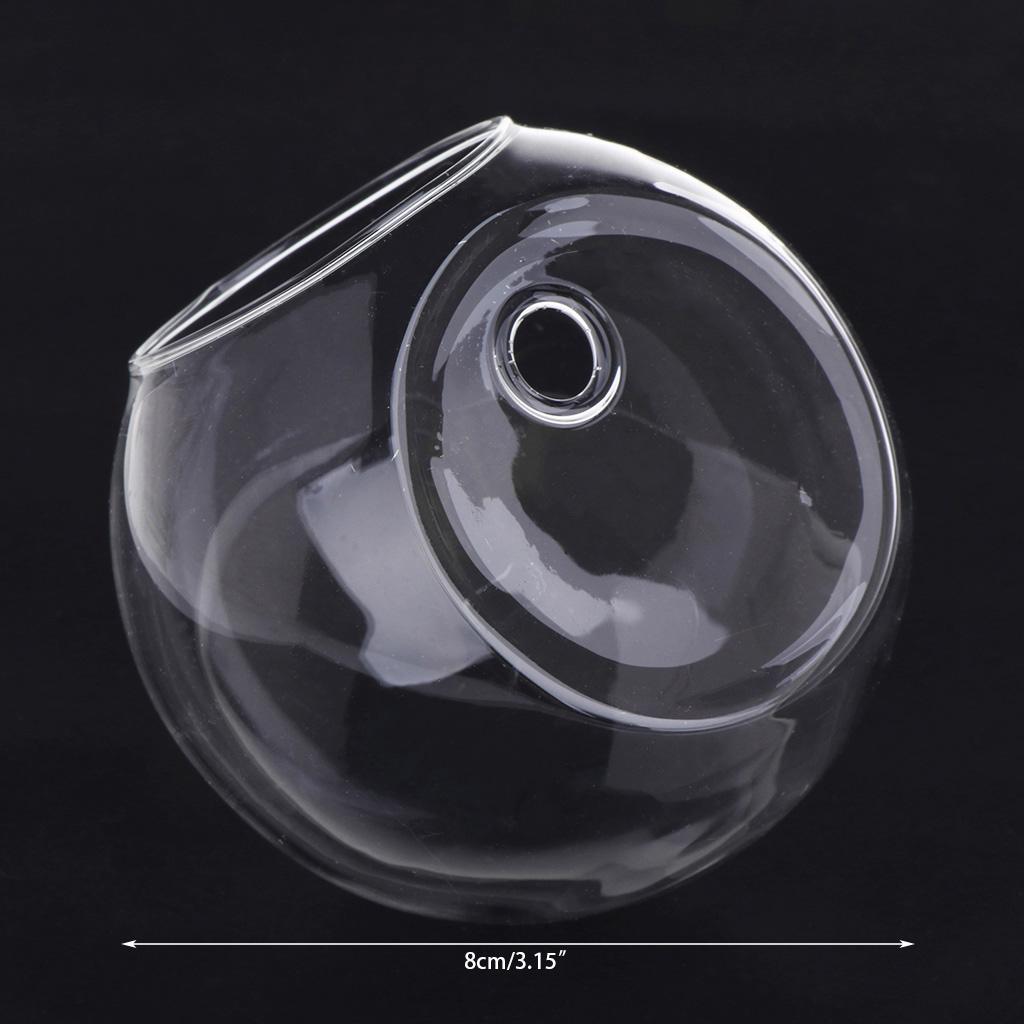 Glass Vase Wall Hanging Hydroponic Terrarium Fish Tanks Potted Plant Flower Pot
