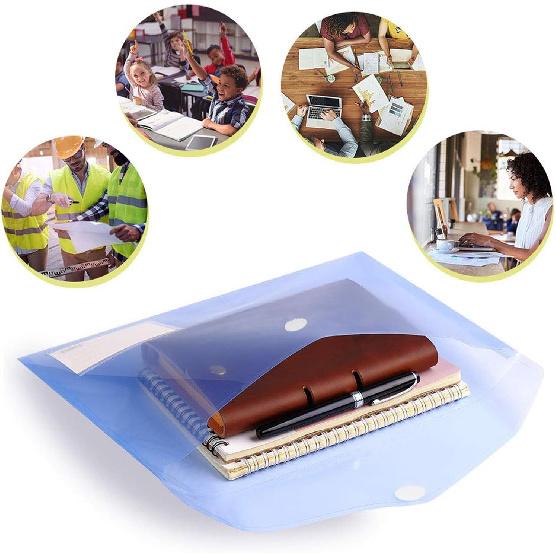 10 Pack Plastic File Folders with Label Pockets - US Letter & A4 Size Clear Document Envelopes, Assorted Color Poly Organizers for Office School