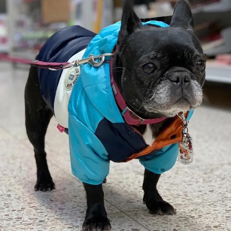 Professional Waterproof Big Dog Down Jacket Winter Warm Dog Clothes for Small Medium Large Dogs French Bulldog Pug Hooded Coat Pets Clothing