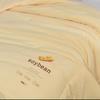 Jieliya Super Soft Soybean Antibacterial Quilt