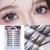 Bonnie Wisp - Glue-free False Eyelashes Clusters