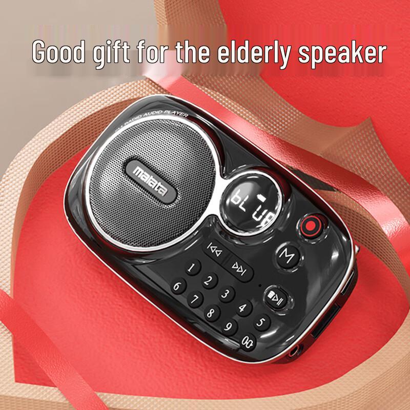 Malata Tragbarer Bluetooth FM Radio Lautsprecher CN-Stecker (Adapter enthalten)