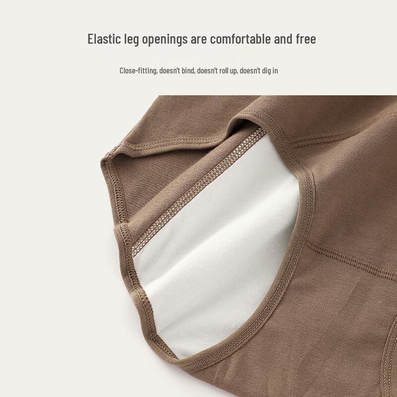 YOUNGYELL Women's High-Waist 10A Antibacterial Pure Cotton Leak-Proof Period Panties 3-Pack