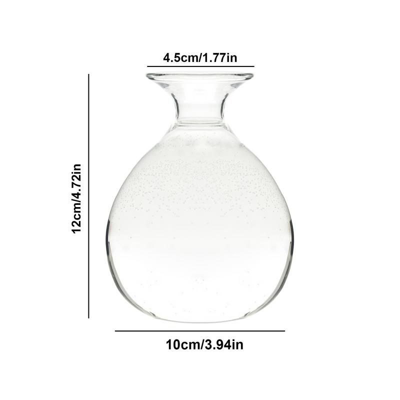 Kit de Cultivo de Abacateiro Vaso Elegante para Cultivo de Árvores Vaso de Planta de Vidro Estiloso Vasos de Vidro Únicos Design Claro e Versátil Para Interior