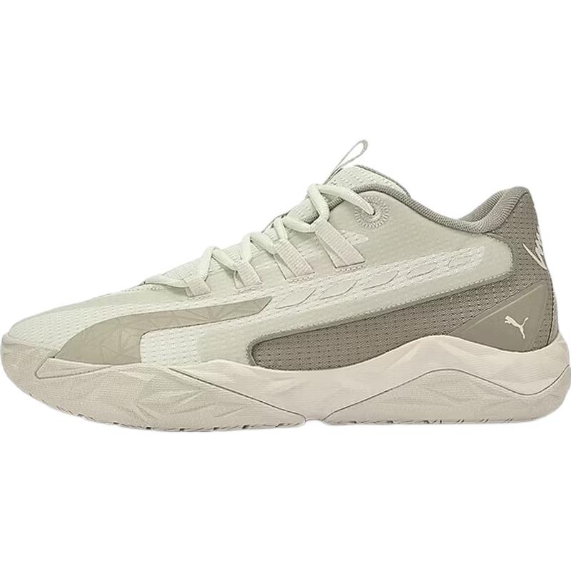 Мужские баскетбольные кроссовки PUMA DAGGER 312748 40