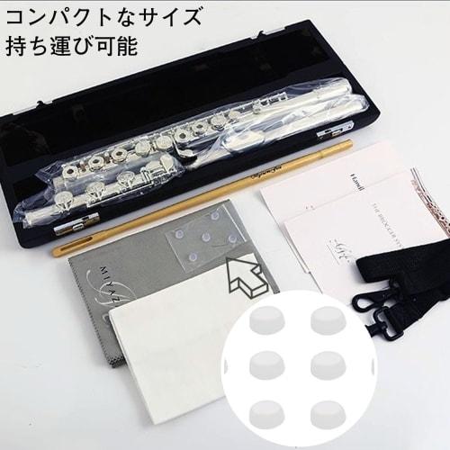 Set of 10 Flute Hole Plugs, Fits Most Flutes, Repair Parts, Plugs, Open, Rubber Flute Plugs