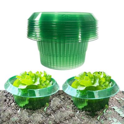 1/5/15Pcs Transparent Garden Cloches Planter Slug Collar Plant Protectors Weather-Resistant Reusable Snail Defense Plant Cover Protectors