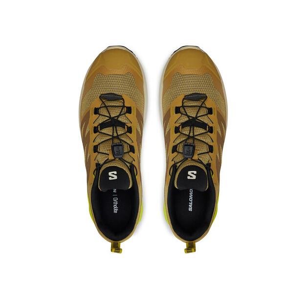 Беговые кроссовки Salomon X-Adventure