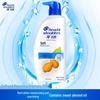 Head & Shoulders Anti-Dandruff Smooth & Repair Shampoo