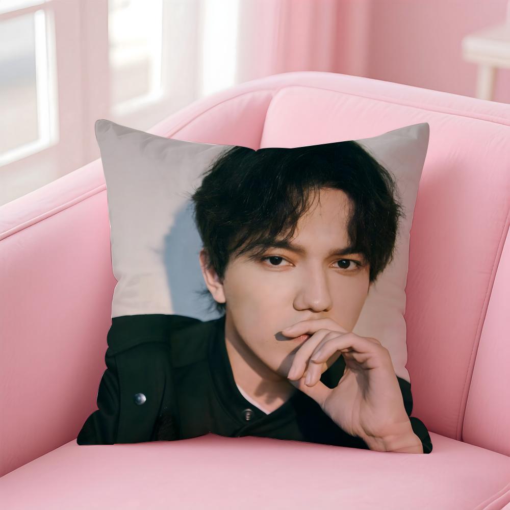 D-Dimash K-Kudaibergen Singer Cushion Cover Comfortable Reversible Pillow Cover Ideal for Car Sofa Bedroom & Beyond