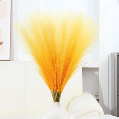 Hochzeitsdekorationen, 55cm Pampasgras, 10 Stück, Böhmische Konservierte Blume Künstliche Schilfrohre, Simulierte Schilfrohre