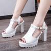 High-heeled sandals women's thick heels 2025 summer new sandals girls Korean version fashionable and sexy sandals women with fish mouth