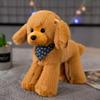 Cute Simulated Teddy Dog Poodle, Teddy Dog Plush Toy Puppy, Long-haired Doll, Rag Doll, Children's Doll