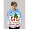 Santa Claus Graphic Sweatshirts Harajuku Long Sleeve Pullover Hoodies for Kids Unisex White Tops Y2k Streetwear Sweatshirt