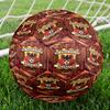 Go Ahead Eagles Print Maat 5 Voetbal, Standaard Wedstrijdvoetbal voor Sportwedstrijd en Teamtraining, Ideaal Cadeau voor Voetbalfans