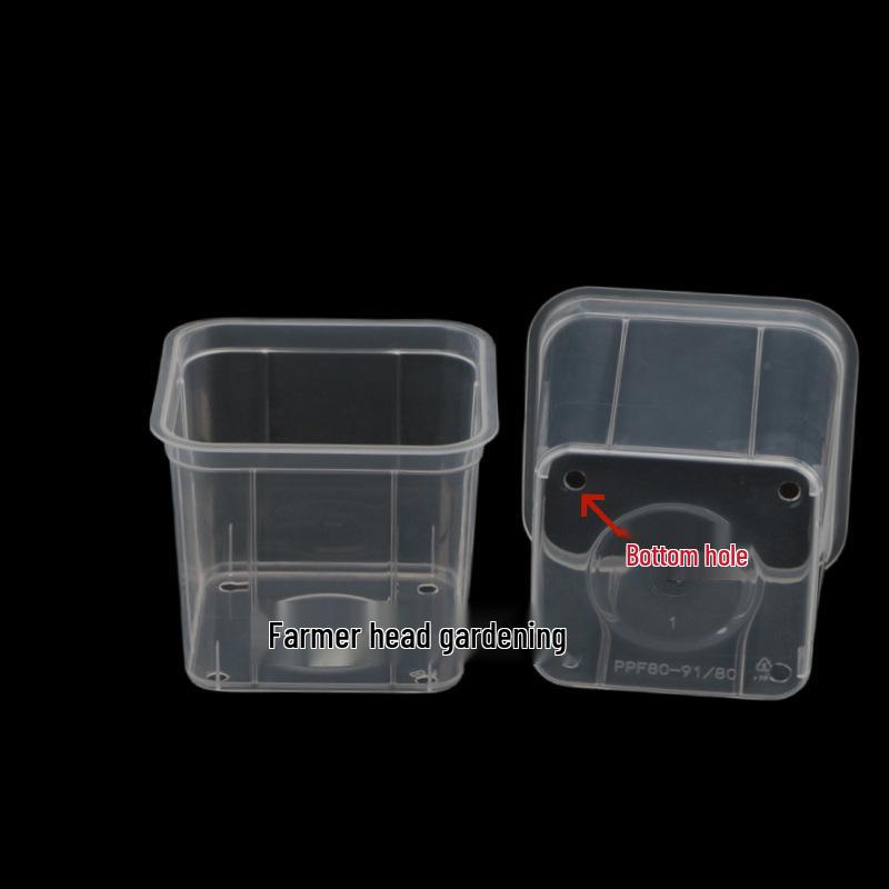 Transparent Square Orchid Hydroponic Pot with Observation Basket