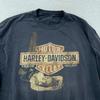Faded Harley-Davidson Motorcycle Pinup Girl L/S T-Shirt L Seaford Delaware Biker