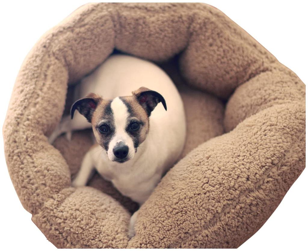 Washable Dog Bed for Winter for Small and Fluffy Stretchable Warm Genuine Domestic Brand UK Elements Product (Perfect Cats, Dogs, Puppies) Bed,