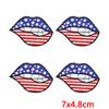 10Pcs USA Independence Day Embroidery Patches, Flag Eagle Bow Iron On Patches for Clothing Backpack Jeans DIY