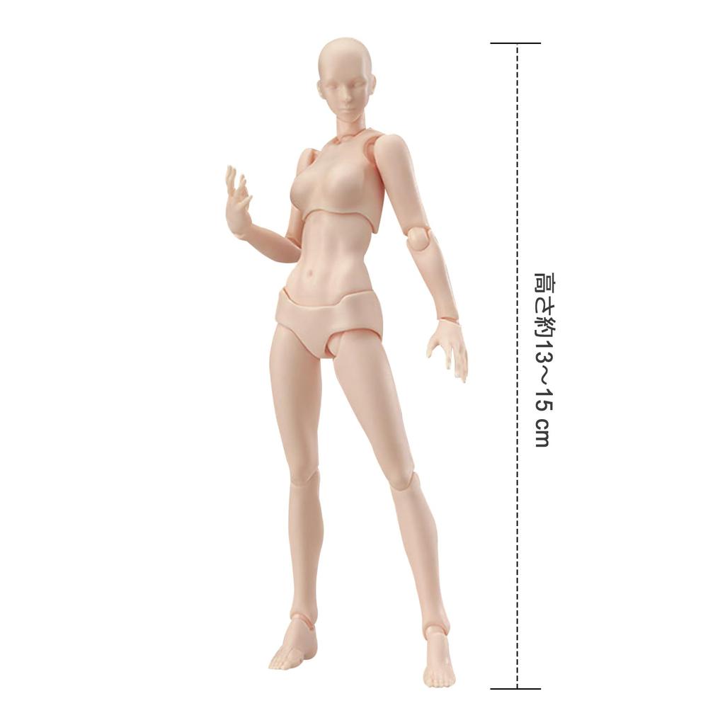 koundeneko Drawing Doll with Stand, Female Model, Manga Figure, Movable Joints, Freely Adjustable Posture, Muscle Style, Perfect for Posing Practice,