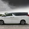 For Toyota Alphard 30 Series 2016- ABS Carbonfiber  Car Side Door Body Molding Anti-scratch Protector Side Strip Accessories