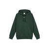 Nike Sportswear Collection Essentials Brushed Fleece Lined Hooded Pullover Sweatshirt Winter Women's Green DJ7669-397