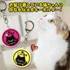 LamPlanning Cat-Like Keychains: Let Your Cat Know You're Home Alone Cute Acrylic Keychains with Cat Designs, Set of 3, Made In Japan (Set A)