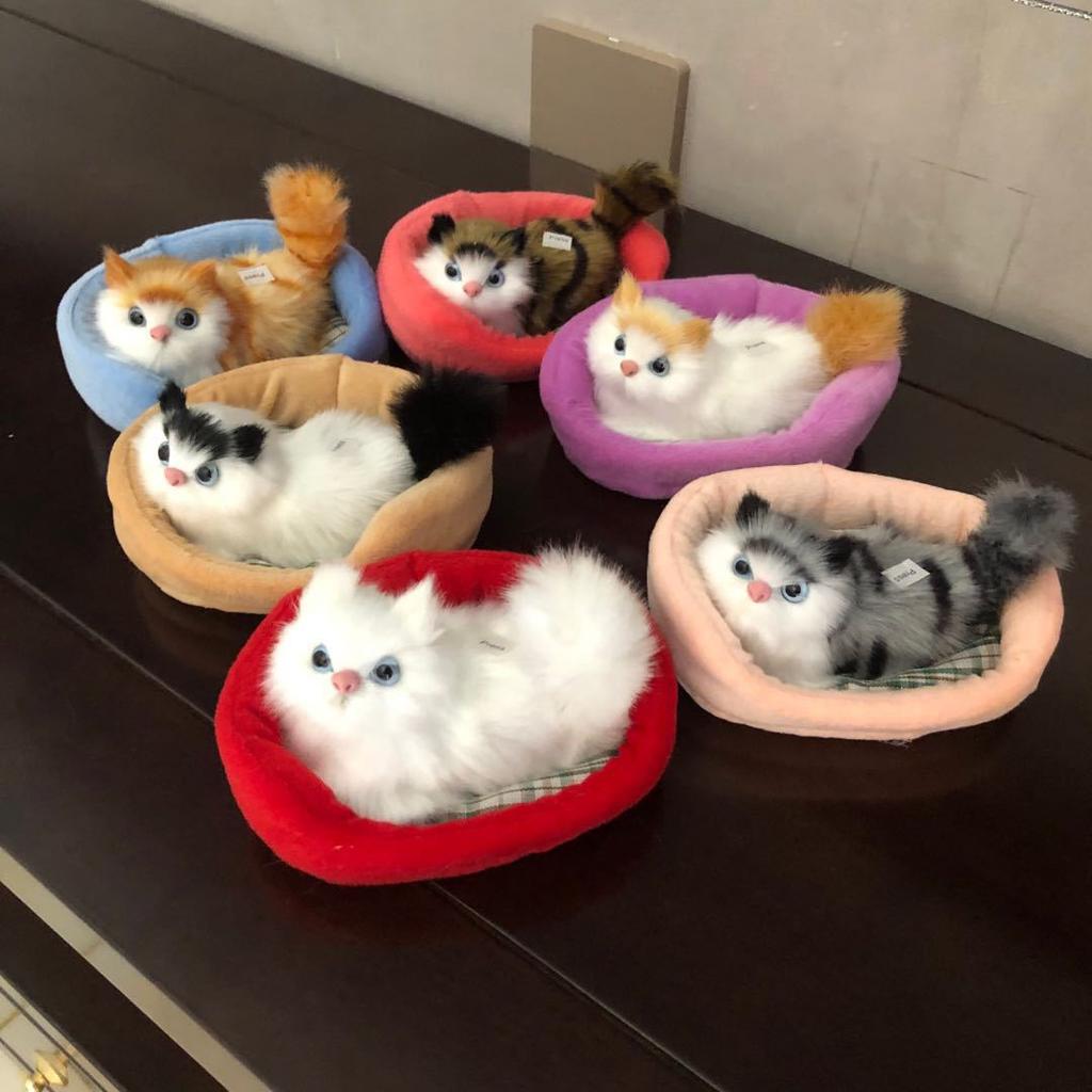 Niedliche Simulation Schlafende Katze Plüschtiere Spielzeug Ausstellungsform Tragbare Fake Katze Kätzchen Puppe Ornament Dekoration Kinder Geburtstagsgeschenk