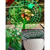 Strawberry Supports Stand Strawberry Plant Supports Cages Climbing Trelli
