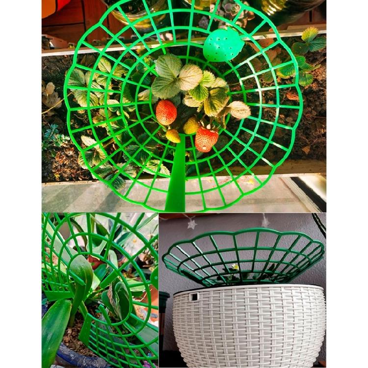 Strawberry Supports Stand Strawberry Plant Supports Cages Climbing Trelli