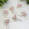 Handwoven Tassel Beaded Seed Bead DIY Accessory for Shoes, Hats, Bags & Clothing