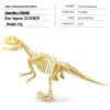 Dinosaur Skeleton DIY Assembly Kit: Educational Fossil Model Toy